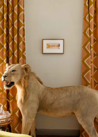 Open Ended Nude image