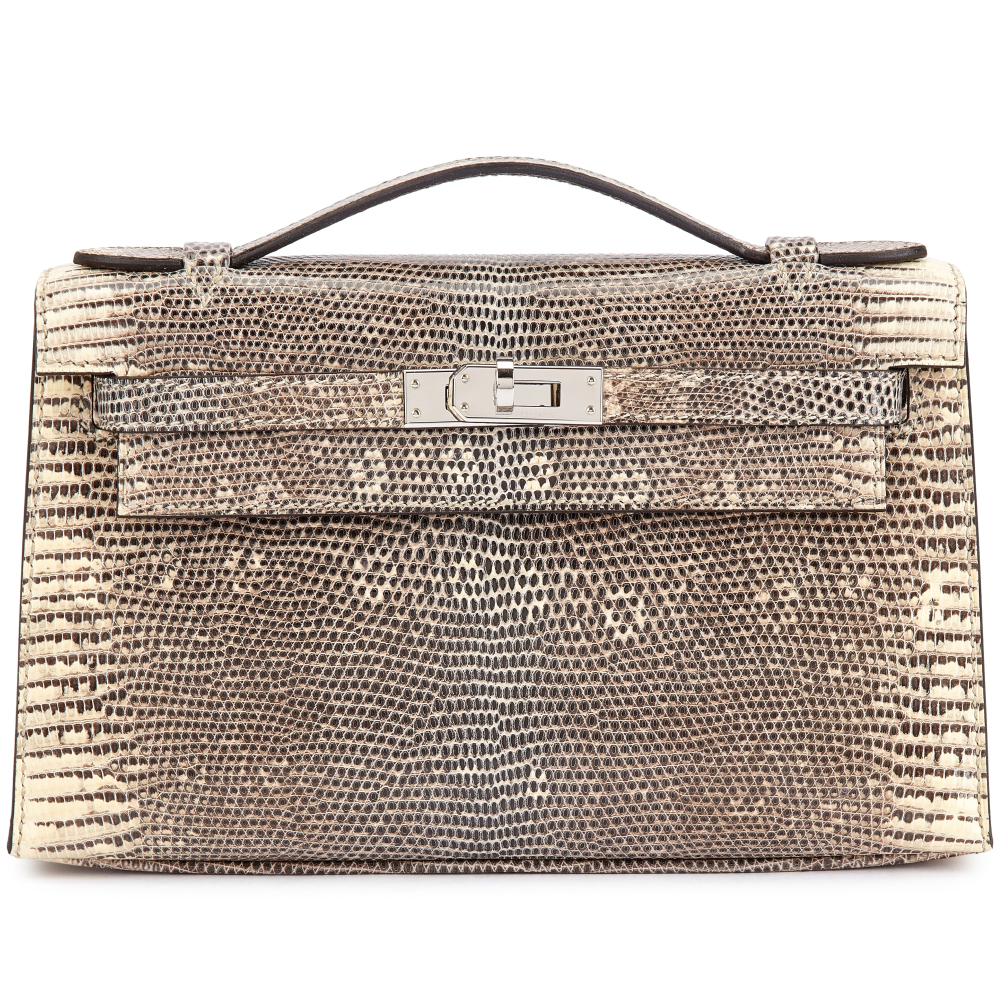 Hermès Ombre Shiny Salvator Lizard Kelly Pochette Palladium Hardware, 2019