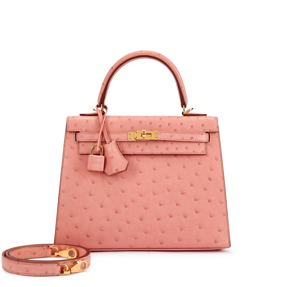 Hermès Terre Cuite Ostrich Kelly 25 Sellier Gold Hardware, 2020